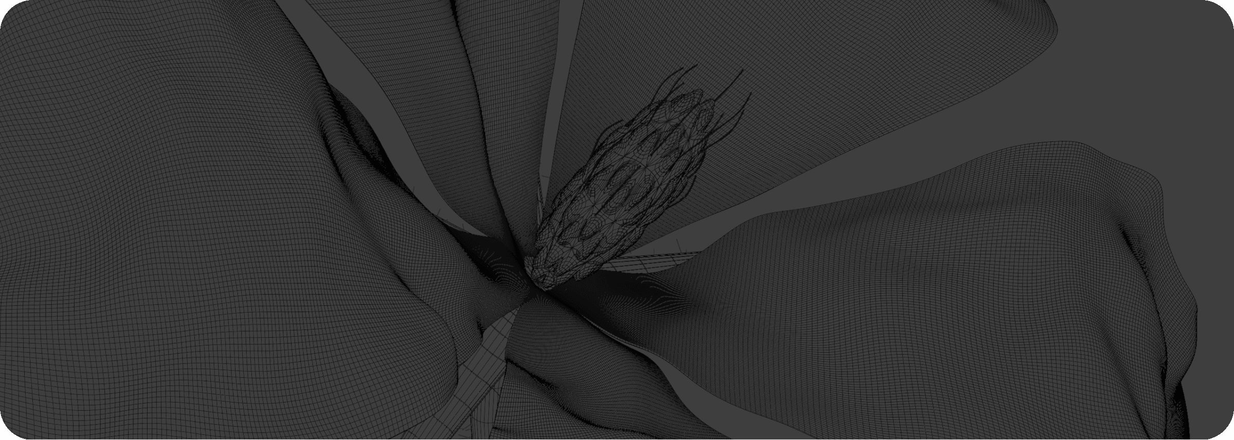 Behind the design: Radiant Anatomy