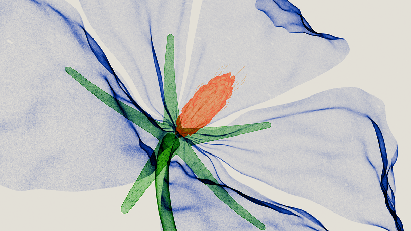 Discover What's New in v22